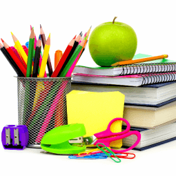 Desarrollo de las actividades de la vida diaria